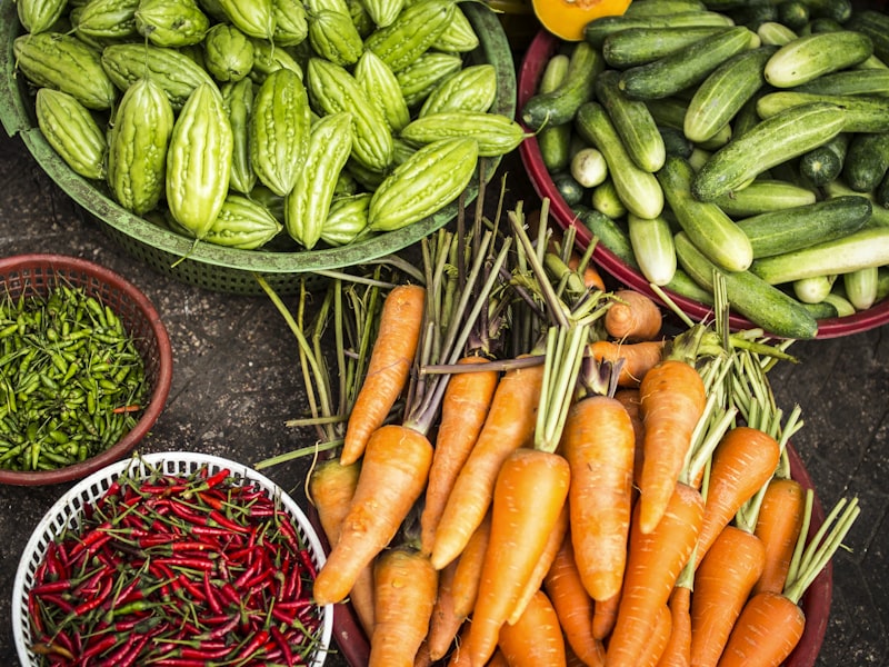 Sustainability-Focused Logistics