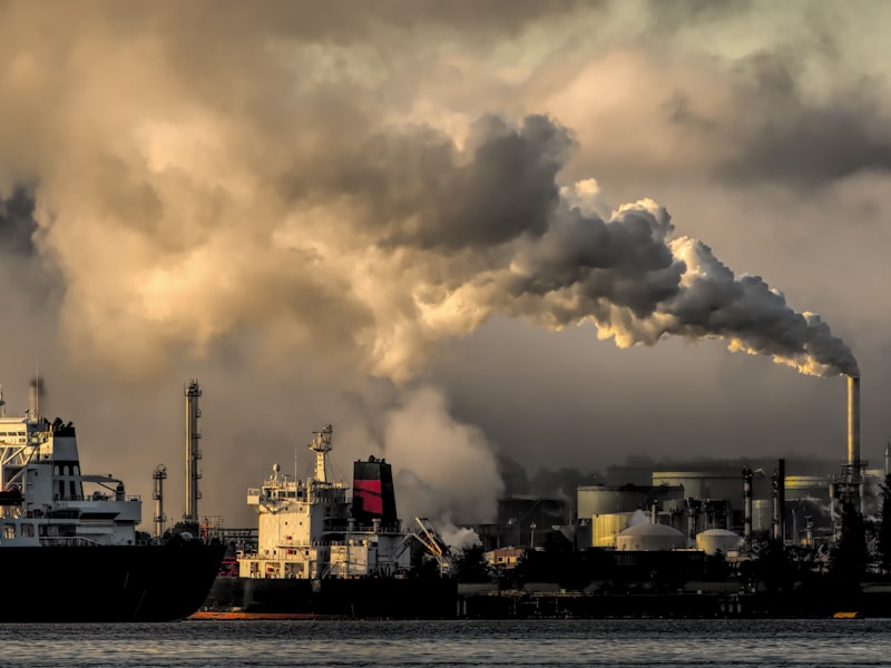 Raw Export Dependence